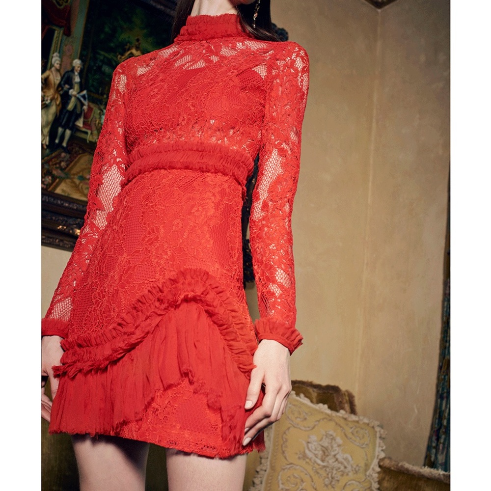 Alexis Wilhemina Lace Mini Dress - Size XS